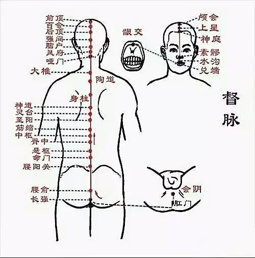 人体关窍示意图图片