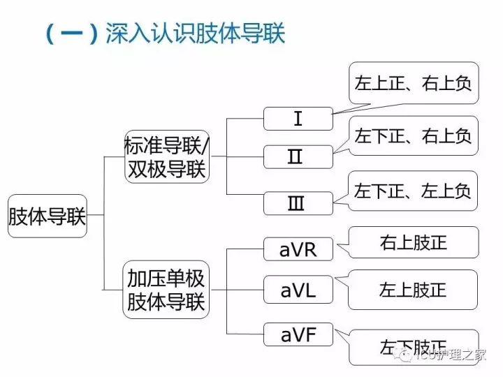 心电图导联连接顺序图片