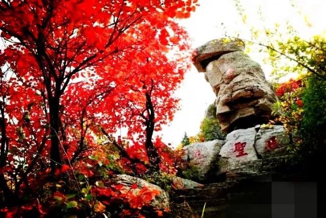 雲明山風景區簡介雲明山風景區位於峨莊國家森林公園心臟之地,山峰奇