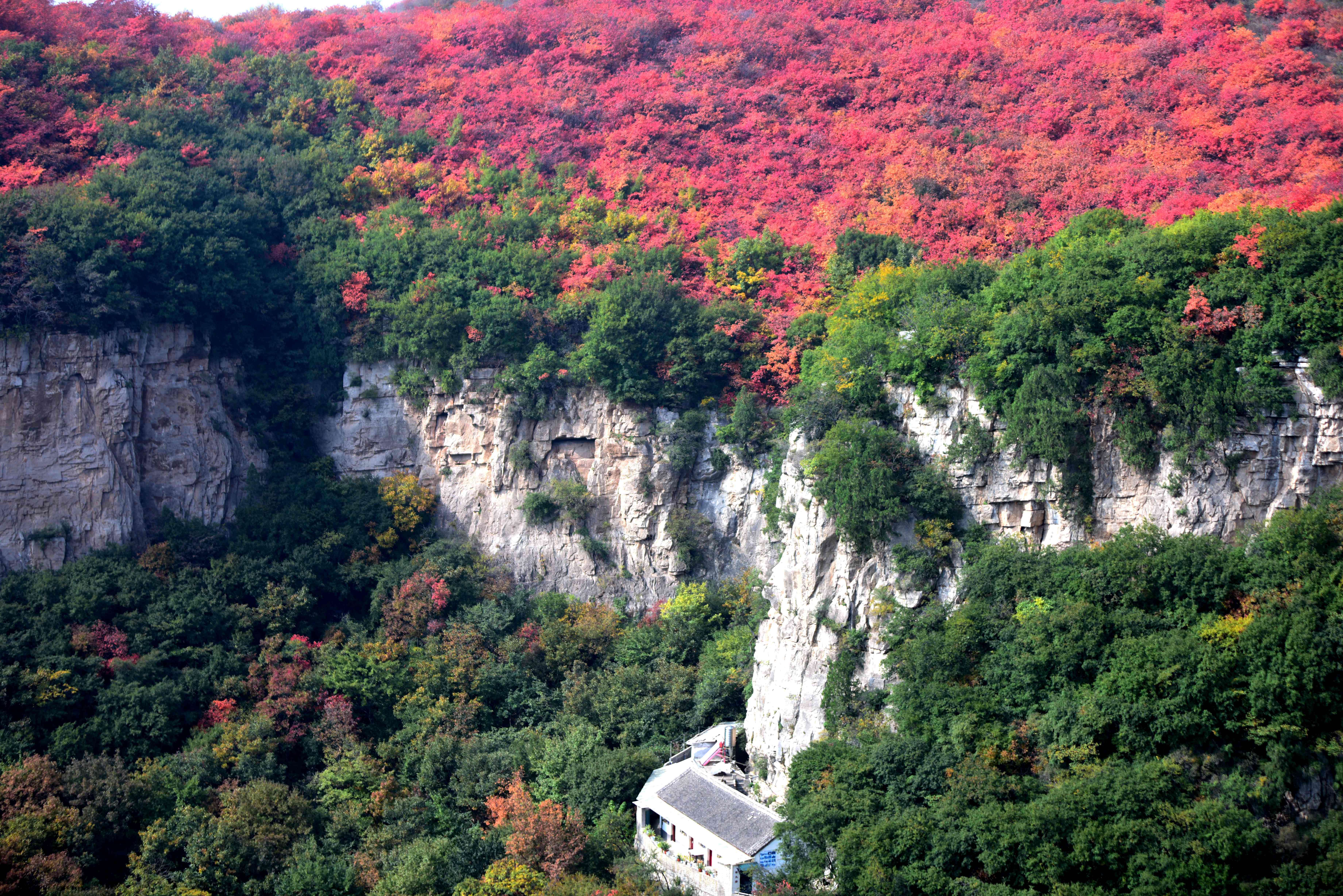 汝州红叶风景区图片