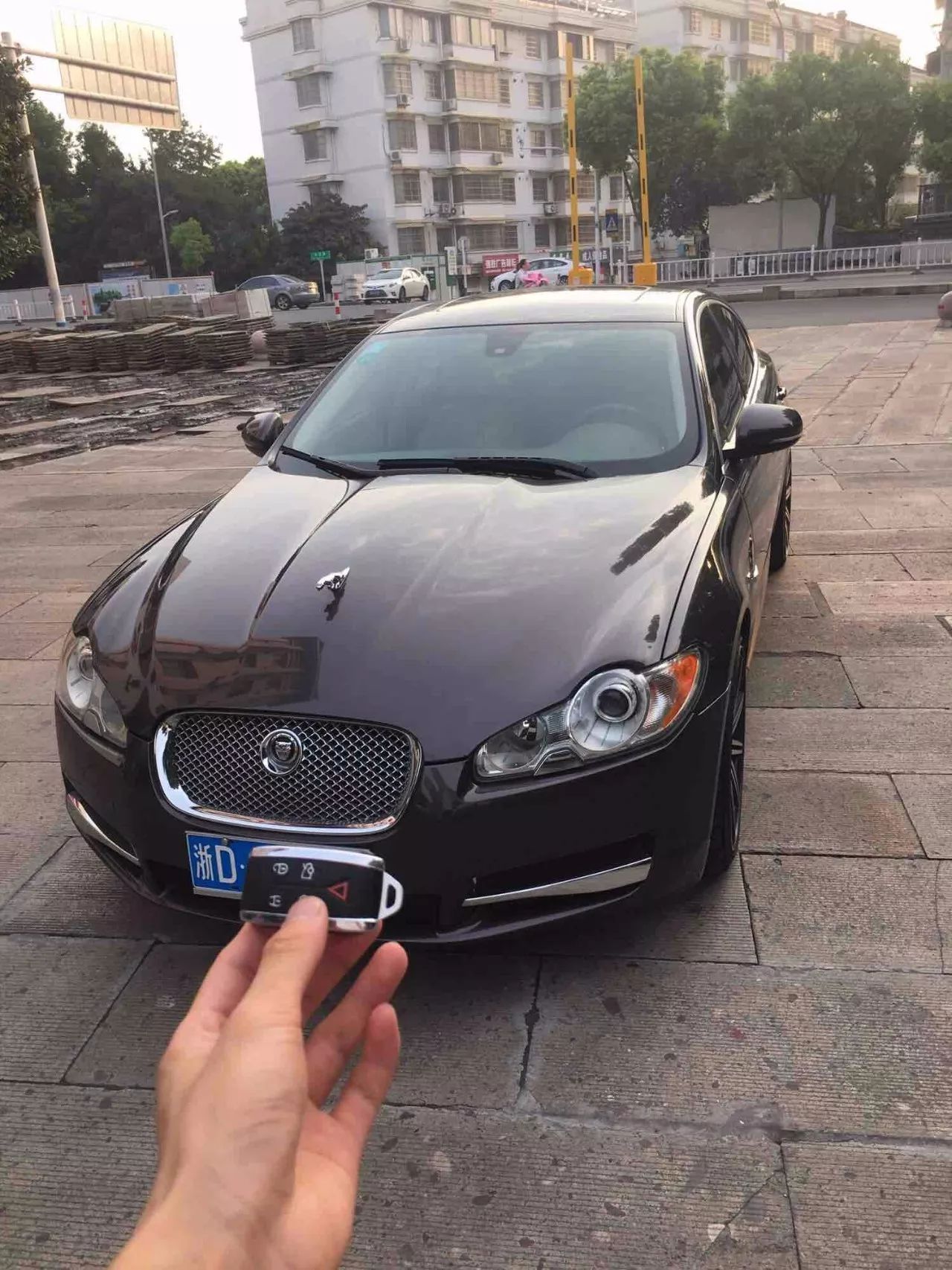 捷豹5.0v8图片