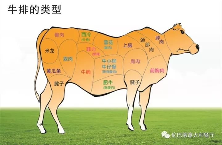 mignon):取自长长一条的腰内肉,相当于猪的里肌肉部位,是牛身中运动