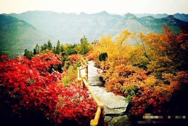 雲明山風景區簡介雲明山風景區位於峨莊國家森林公園心臟之地,山峰奇