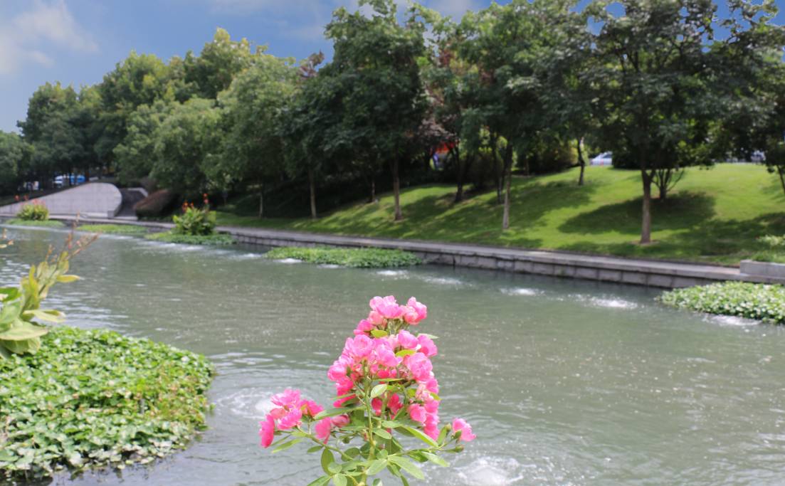 从一条普通河道到生态示范河道 河水清澈,绿植繁茂,景色优美.