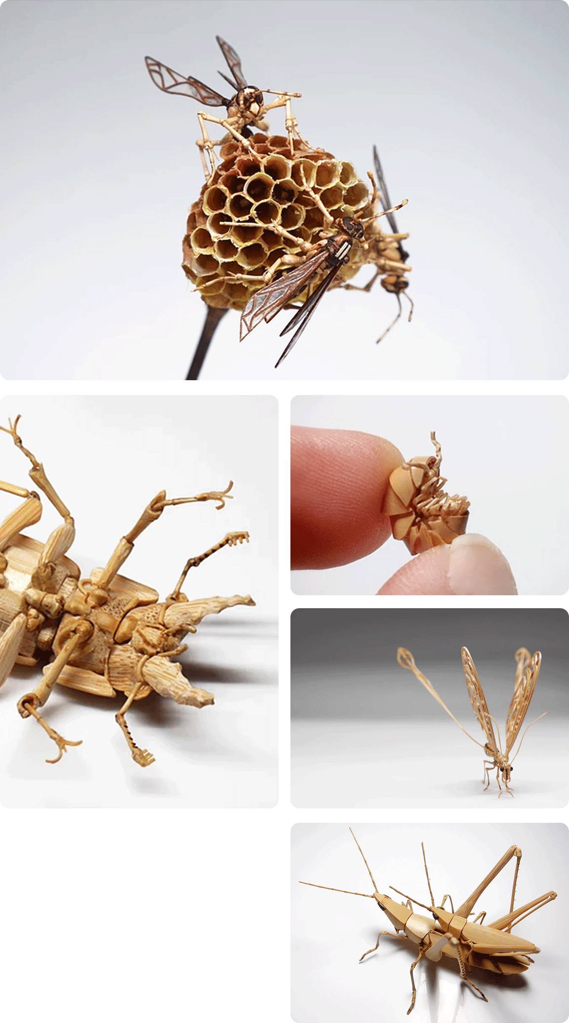 的是昆虫的模型令人叹为观止昆虫的造型精致程度他用竹子制作了大量1