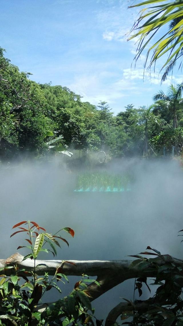 初見北緯18度,母女三人一路游到三亞,只為了心中的一頓美食