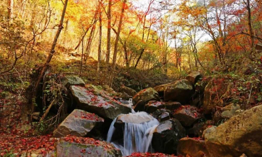 福利:英山人憑身份證免桃花衝門票