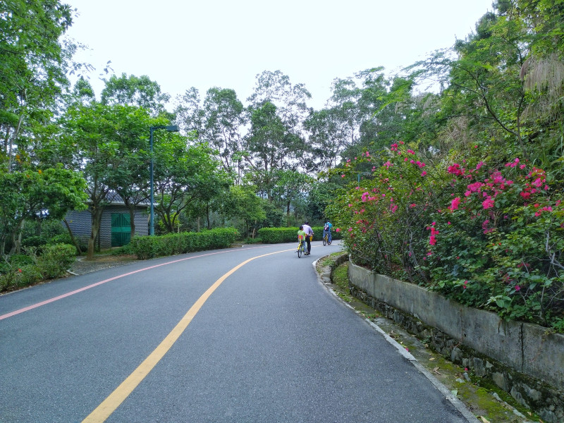 惠州紅花湖週末騎行徒步休閒之所