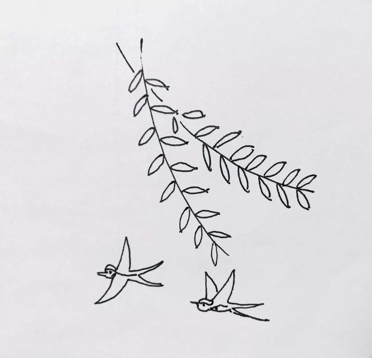 立春植物简笔画图片