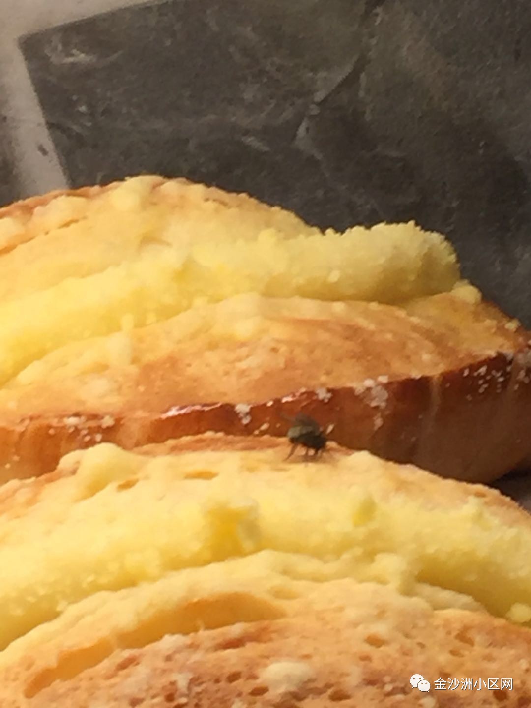 金名都商业街wcoffee面包店 多次见到苍蝇飞虫吃面包!