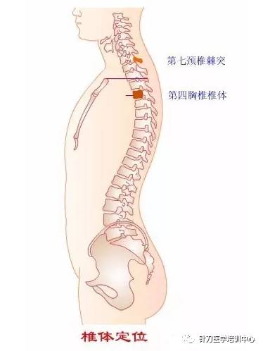 下位胸椎與腰骶部常見損傷診治經驗