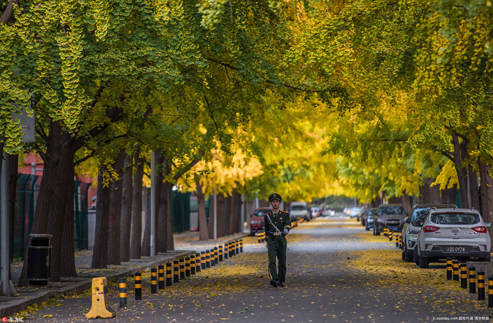 北京三里屯使館區變