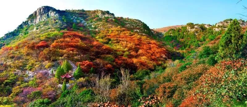 狂歡雙十一鳳凰國旅自組特惠每週六週日臨朐石門坊寨子崮一日遊118