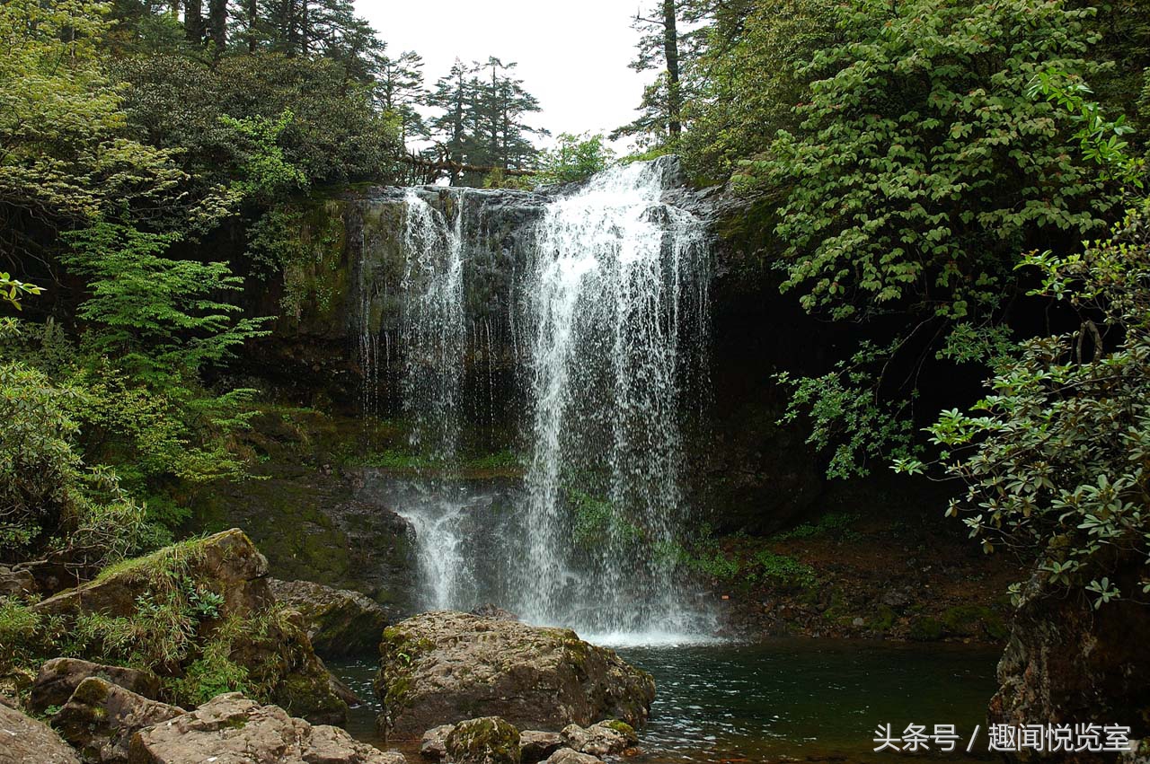 四川迷魂凼:人进得去出不来的地方,各种设备都不管用