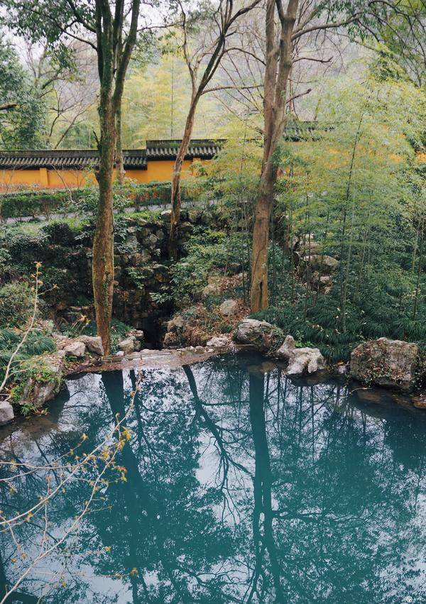 靈隱寺紀行:只願生在此山中,常看春來發幾枝