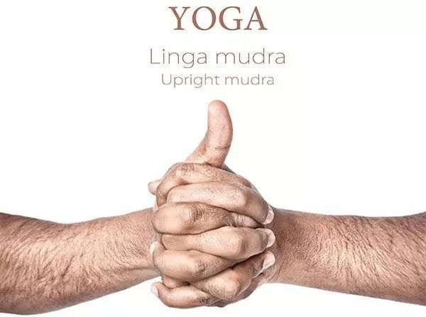 瑜伽智慧手势图片