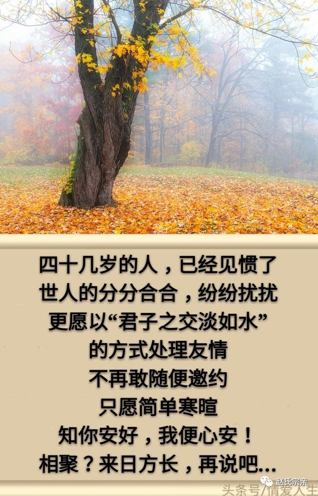 人生有一種心累它的名字叫人到中年句句戳心