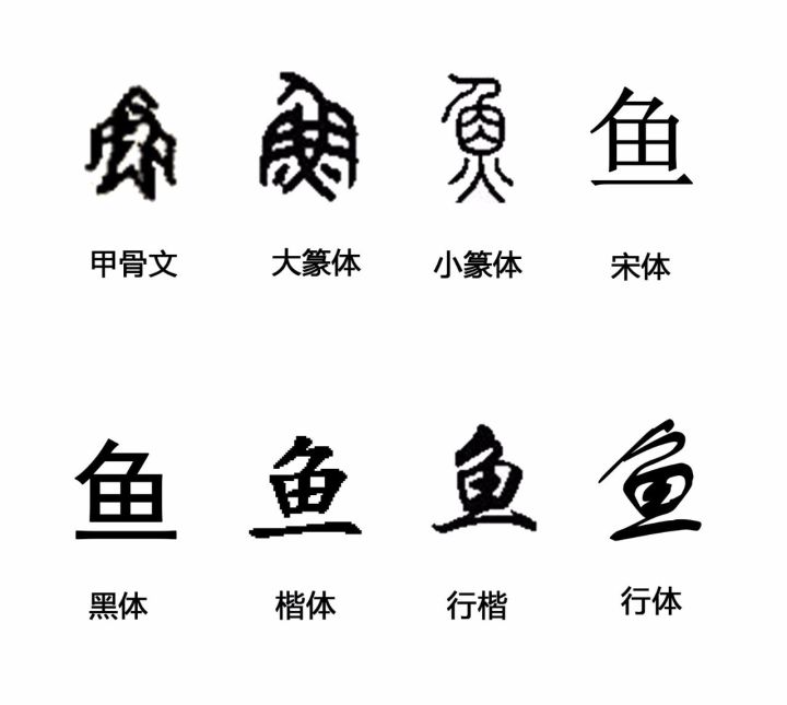 汉字鱼的演变过程字体图片