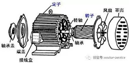 电动机内部结构图图片