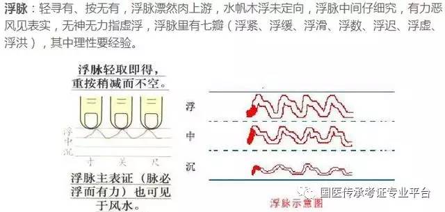 加微信tcm580)数脉类微脉细脉弦脉虚脉(学中医加微信tcm580)虚脉类