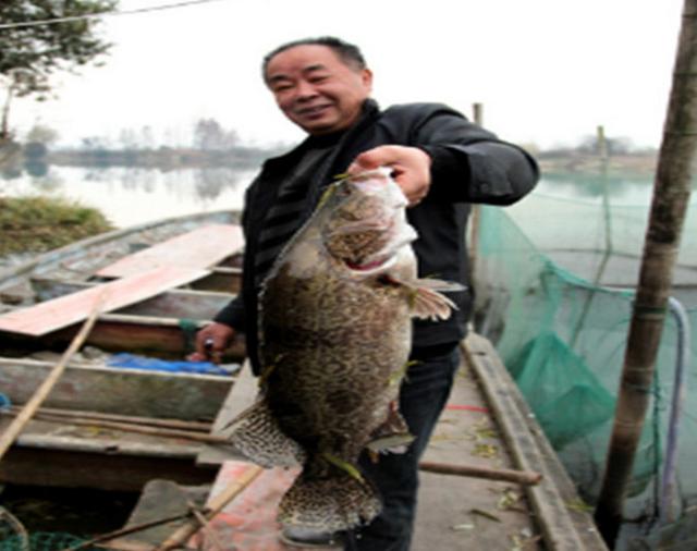 農村大爺釣到一條少見的魚 自己卻不捨得吃 這又是為什麼