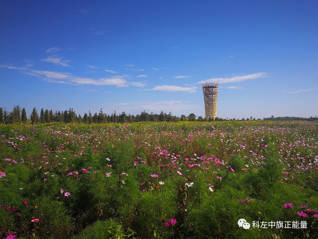 科左中旗被拟命名为自治区园林县城正式公示