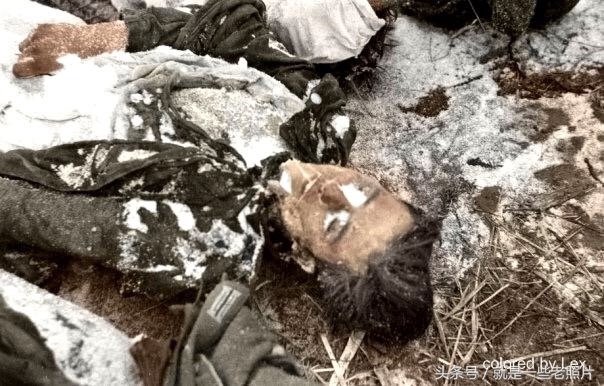 红卫兵死亡人员图片图片