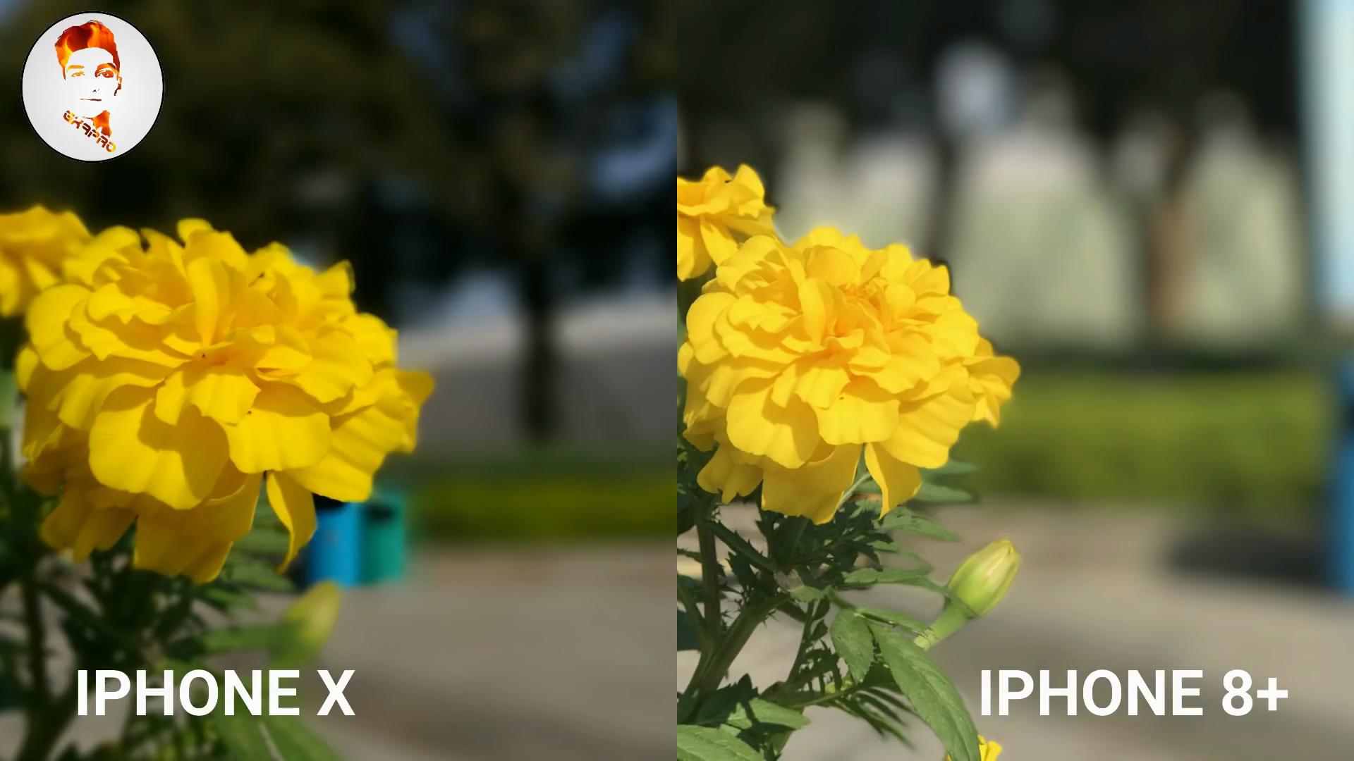 景深效果,iphone x和iphone 8plus有啥不同看出来了吗?