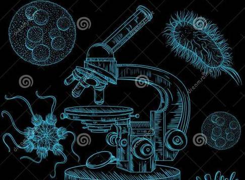 課程名稱: 《神奇的微生物》金小最美的風景他們是金山小學最美的風景