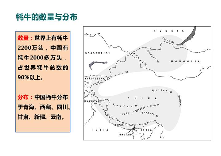 中国野牛分布图片