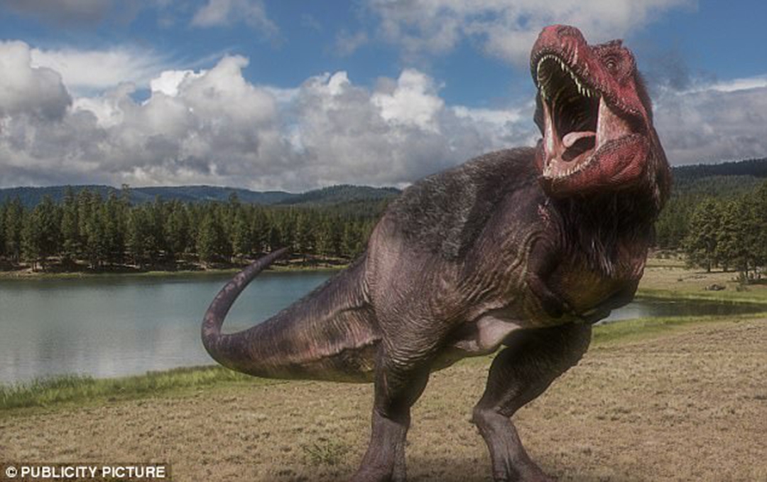世界上最大的食肉恐龙图片