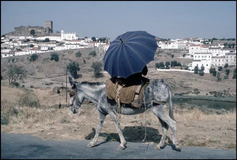 patrick zachmann 2009nikos economopoulos 2010alec soth 2008