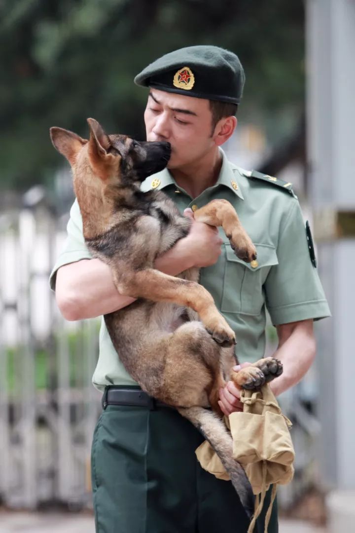 杨烁兵气加身的角色备受好评这次亮相奇兵神犬是想将硬汉兵气走到底吗