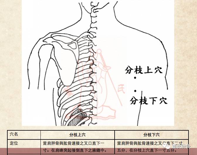 桐木关位置图片