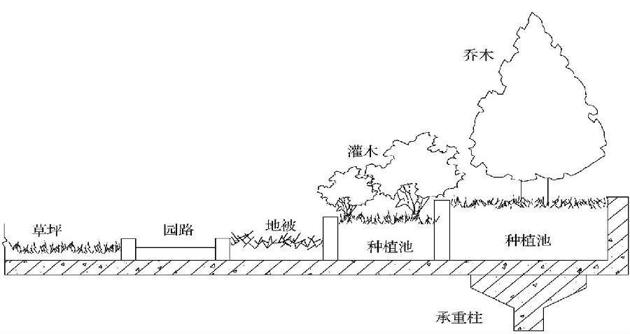 屋顶绿化种植区构造层剖面示意图(5)宜选择抗风,耐干旱,耐高温的植物