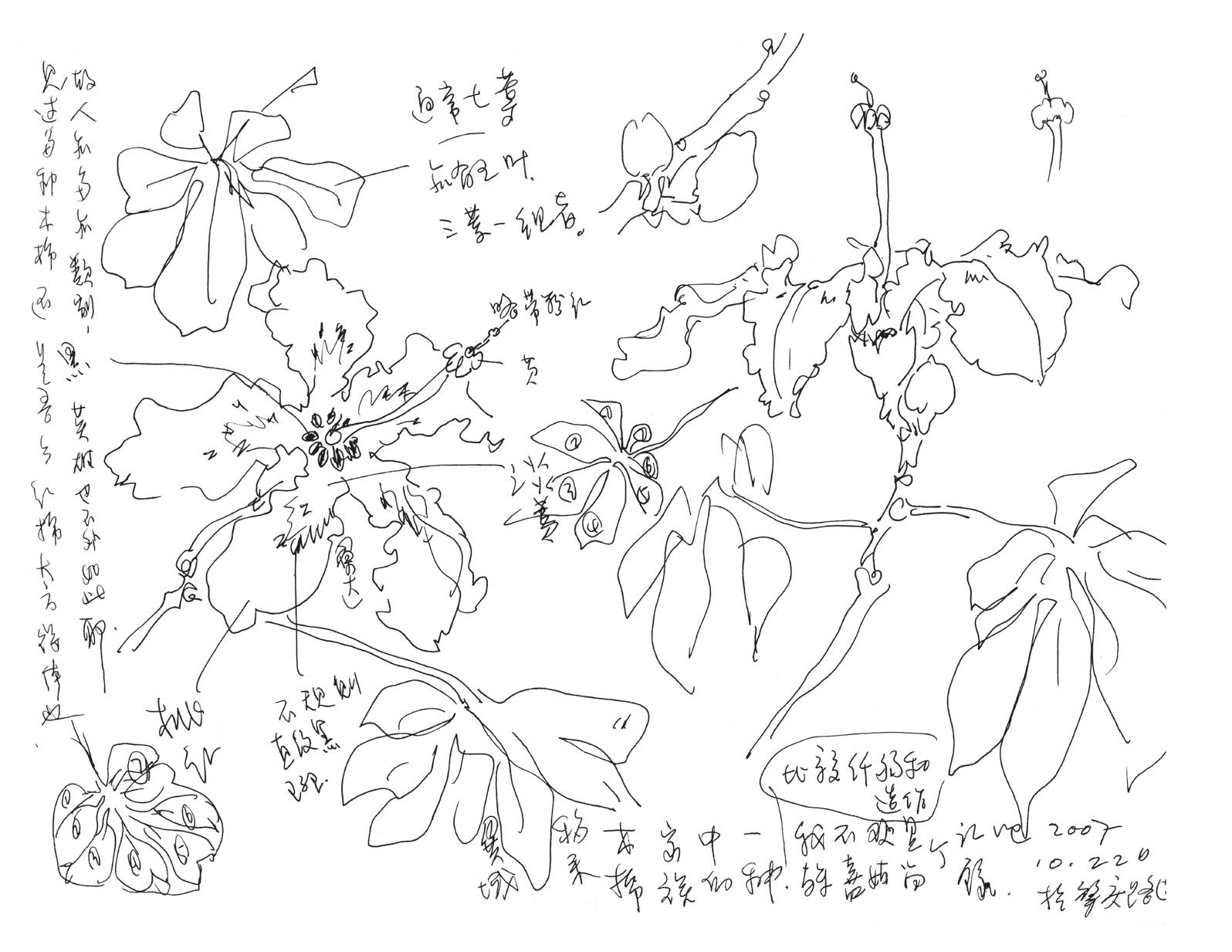 画画陈永锵画谱欣赏火焰树