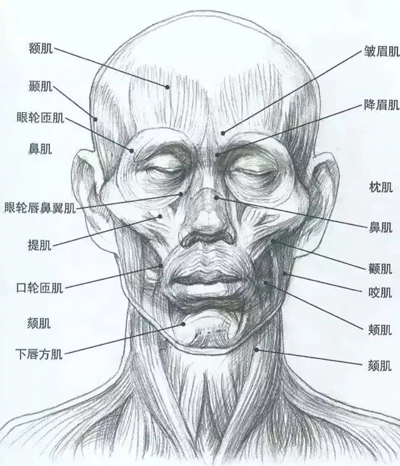 联考干货如何让你的试卷吸引评卷老师