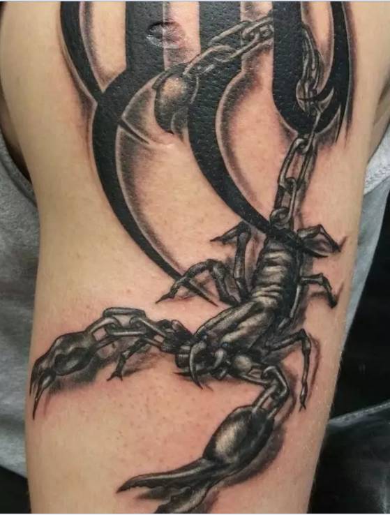 纹身图案蝎子凶狠不屈的象征蝎子纹身分享