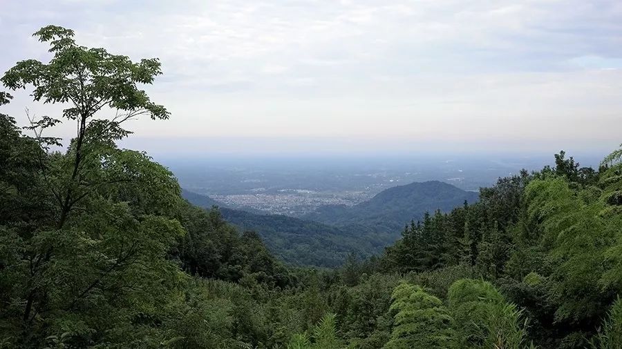 主人|建筑师兴奇：山沟里的猪圈民宿