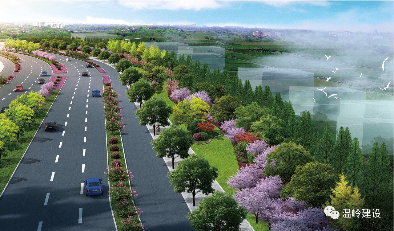 西环路两侧绿化景观提升工程开工了预计春节前亮相未来将变成这样
