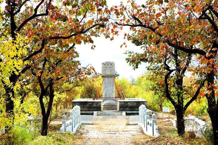 昌平公園南口公園走進秋天追逐秋風和楓葉層林盡染的楓樹林寫滿了詩韻