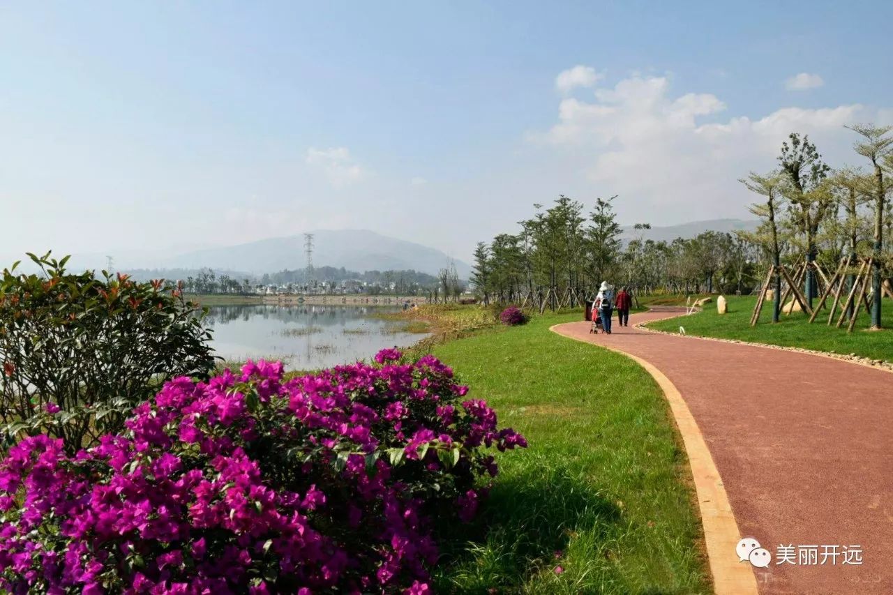 迎州慶輝煌開遠重磅今起鳳凰生態公園陸續向市民開放