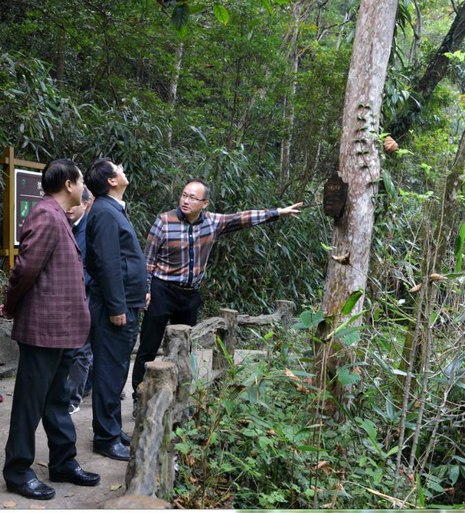 处长陆雄峰向杨司长详细讲解黄桑保护区管理处管护情况及地域民俗文化