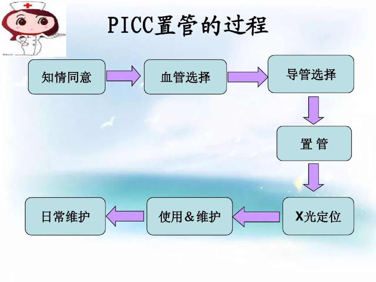 picc导管健康宣教