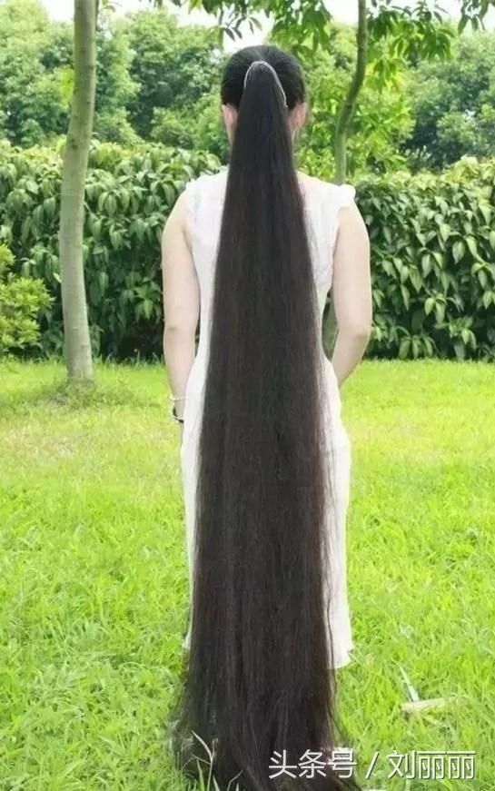最长的头发有多长图片