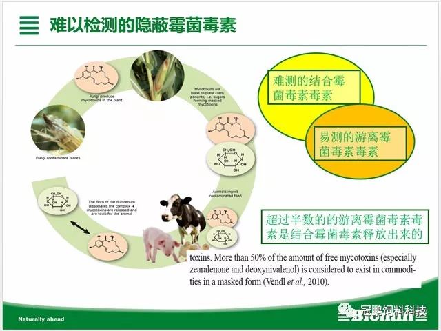 百奥明亚洲营养论坛课件1霉菌毒素对奶牛生产的危害及防控12