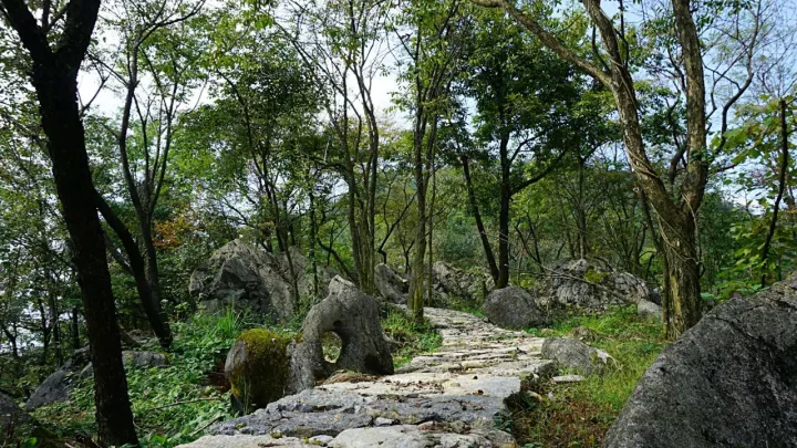 宜昌長陽龍池山生態農莊首屆油茶採摘節歡迎您