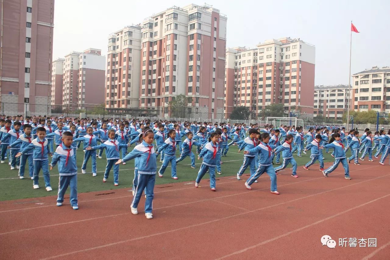 杏园小学图片图片