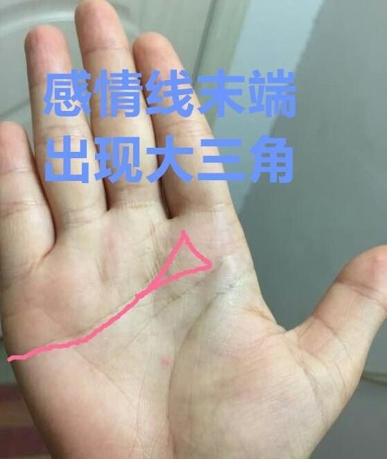 女生手相左手图片