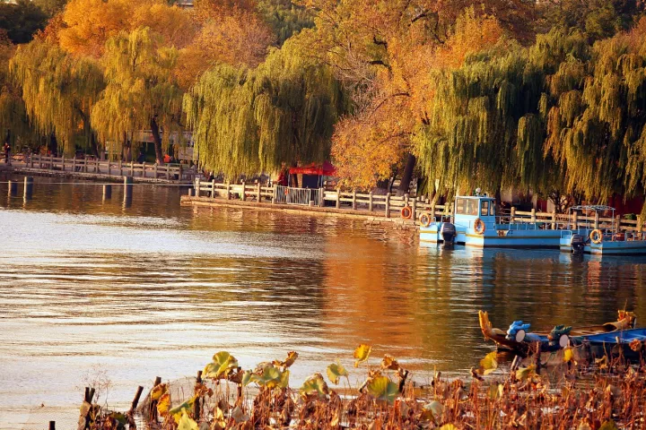 济南旅游大明湖的秋天美哭了